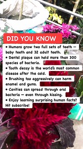 Mind-Blowing Human Body Facts #humanbodyfacts #scienceeveryday #healthknowledge | Amazing Facts