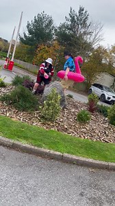 10K views · 147 reactions | Who’s excited to see Five? Kevin & Perry are!! | Lady's Mile Holiday Park | Facebook