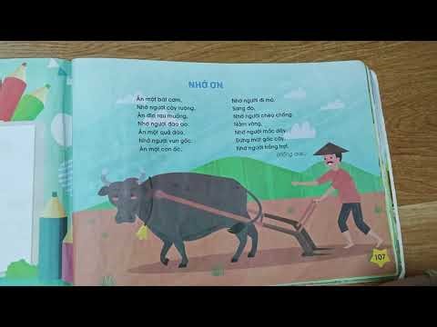 Baby practices reading Vietnamese (1)