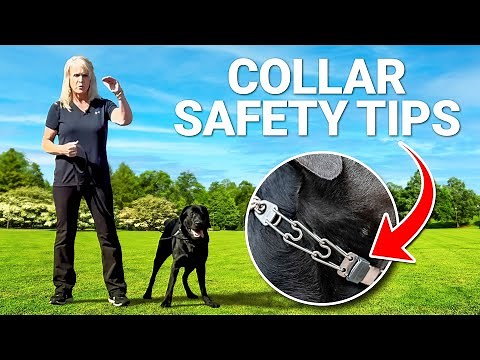 How to SAFELY Put on a Pinch Collar & Use It