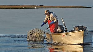 Smith Island: Lure of mainland tugs at roots — and hearts — of residents
