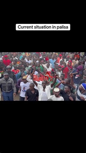 Current Situation in Palisa: A Community Overview