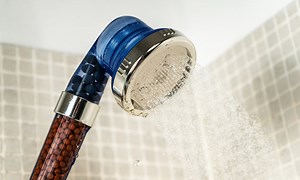 What is the TikTok Shower Head Called?