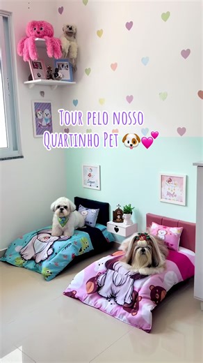 Vem ver o tour pelo nosso quartinho pet. Esperamos que vcs gostem💕🥰🫶🏽#pet#tour#animais