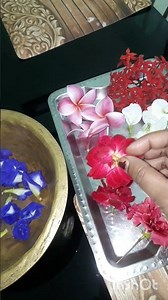 My Mini Garden 🌹🌺