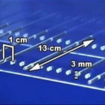 The Ladder Rung Walking Task: A Scoring System and its Practical Application.