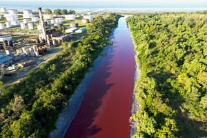 Argentina River Turns Into ‘Stream of Blood’ After Suspected Toxic Leak