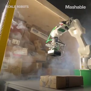 46K views · 340 reactions | ‘Dill’ is a super-fast robot that can unload 1600 boxes an hour. | Mashable | Facebook