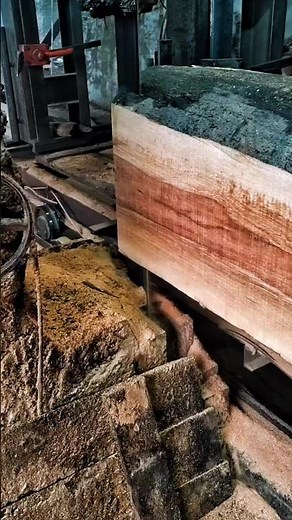 Massive Log Sawmill Processing – Heavy-Duty Industrial Wood Cutting