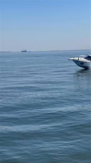 #プレジャーボート #ボート #佐久島 | Nishimura Hiroyuki