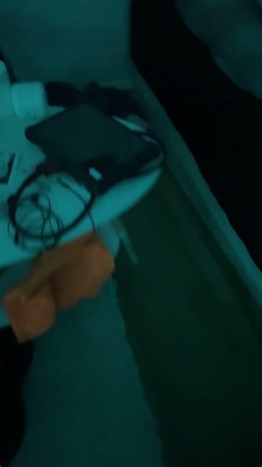 If there is a spider in my window explain this!