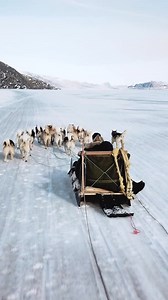 161 reactions · 34 shares | Greenland is a true winter wonderland for most of the year! Are you coming to visit us in winter? Here is a glimpse of what the frosty season looks like. | Visit Greenland | Facebook