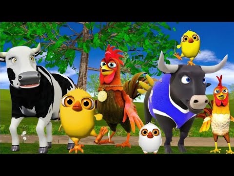 El Pollito pío 3d - el Toro y el Tractor de la Granja part-el Pollito y el Tractor de la Granja