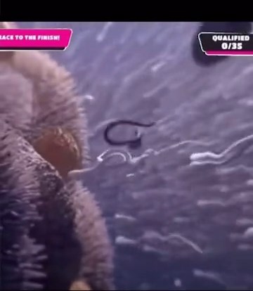 #fyp #meme #memes #fallguys