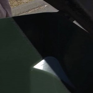 8K views · 12 reactions | Bear encounters are on the rise across the state ⚠ We'll show you how one company plans to help keep these hungry animals out of your trash bins! | WFSB - Channel 3 Eyewitness News | Facebook