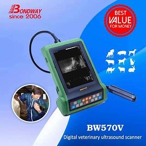 [Hot Item] Bovine Cow Cattle Pregnancy Handheld Ultrasound, Battery Operated, Horse, Equine Reproduction Scanning Ultrasound