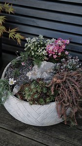 2.7K views · 59 reactions | Watch our handy how-to for a step by step guide on planting a gorgeous, low-maintenance alpine garden in any size of space 朗 See our full alpine range in-store and online: https://fal.cn/3pJtY | Dobbies | Facebook