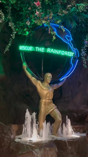 An unforgettable dining adventure is just a reservation away! 🦍 | Rainforest Cafe