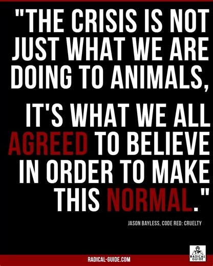 The Crisis Isn't What We're Doing | Jason Bayless on Animal Liberation