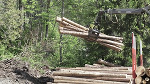 Download a crane lifting logs from a pile of wood for free