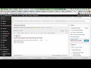 Comment créer ou modifier un article de blog sur Wordpress