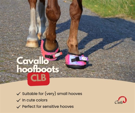 Check out the Unicorn Pink CLB 'Cute Little Boots' from Cavallo: the...