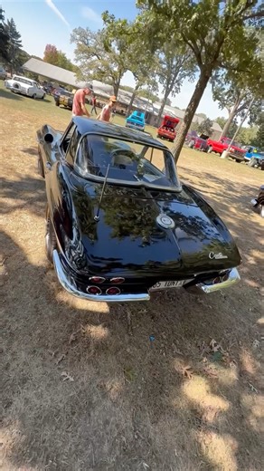 1965 Chevrolet Corvette stingray