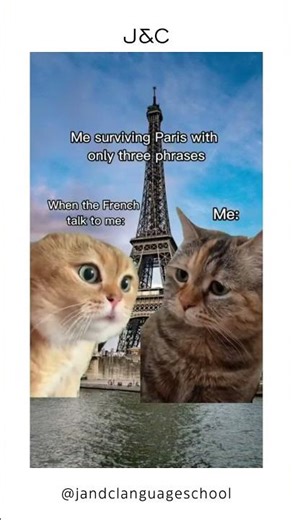 😂 Me surviving Paris with only 3 French phrases