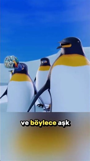 Penguenlerin En Büyük Kalp Kırıklığı! 🐧💍🏠