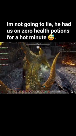 Fereldan Frost dragon bossfight. #dragonageinquisition #meme #gaming #gameplay
