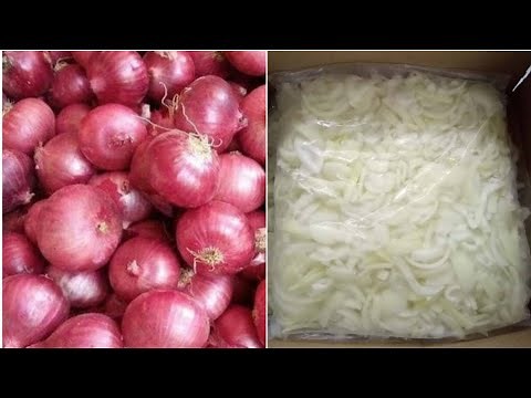 How to store cut onions in the refrigerator