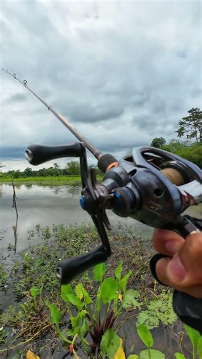 disaat casting bersama teman 😅#shorts #angler