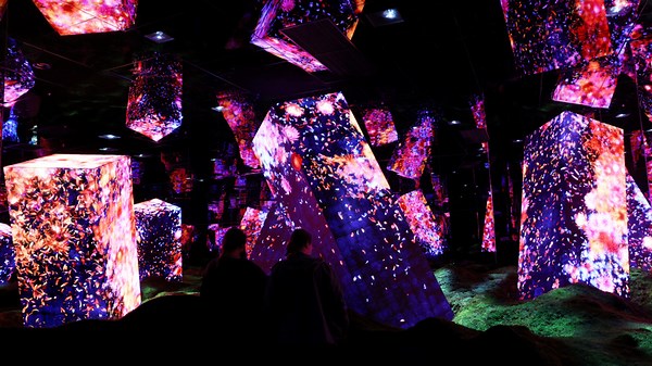 TeamLab Biovortex Kyoto: