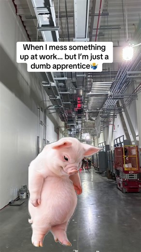 Apprentice Mistakes: The Struggles of Learning on the Job