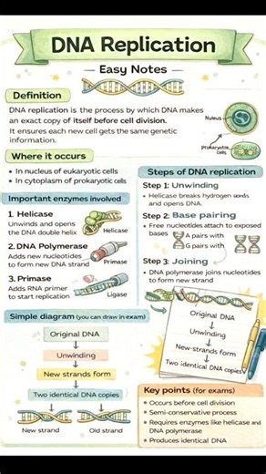 DNA replication 📖 #neetaspirents #biology #boardexam #schoolexam