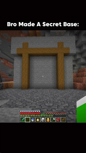 Bro Made A Secret Door...