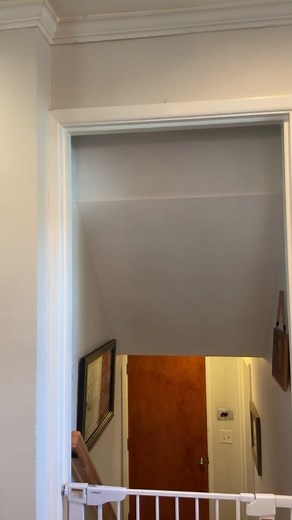 Is your senior cat sleeping more than they used to? Eyes looking a little cloudy? Less resilient to stress? This is NORMAL, not a crisis  Watch the video to learn more. My name is Amanda, a vet with 9+ years of experience helping your pet live the best golden years possible! Follow for more ♡ | Senior Pet Vet | Facebook