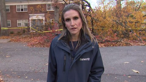 Ridgefield teen escapes injury after tree crashes onto home during windstorm