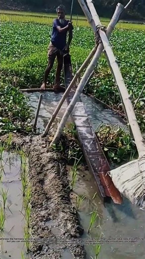 Witness the harmony of local wisdom through traditional irrigation systems in rice fields.