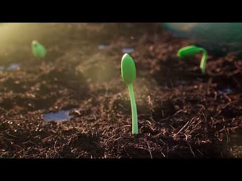 Introducing Brevant Seeds | Brevant Seeds Canada