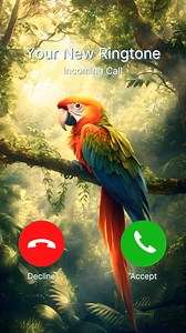 41K views · 1.8K reactions | Customize your phone with unique ringtones, wallpapers, and notification sounds. | Zedge | Facebook