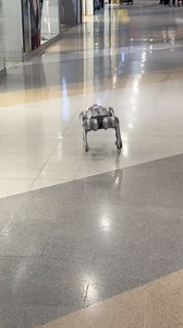 Perrito robot 🤣 | Empty Mind