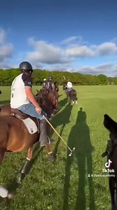 歷The Twelve Days of Christmas Sale!歷  For the next 12 days we...