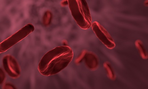 Immunity Myths vs. Immune System Facts: What Doctors Say You're Getting Wrong