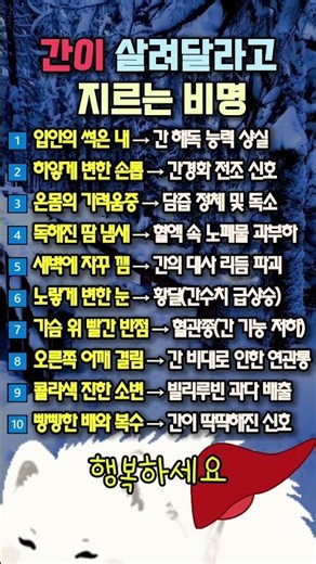 "단순 피로인 줄 알았는데 간이 썩고 있었습니다!" 몸이 몰래 보내는 간 이상 신호 10가지