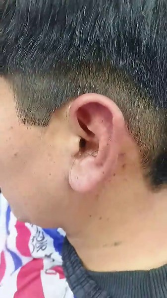 Cortesito Mohicano Redondo: Estilo que Impacta