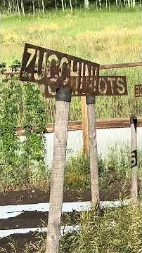 High elevation garden helps the Salvation Army Vail stock their food bank