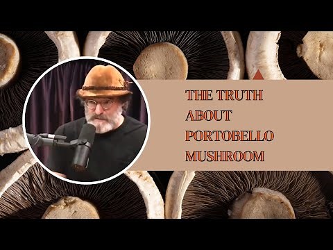 Why is Paul Stamets Hiding the Truth About Portobello Mushrooms?