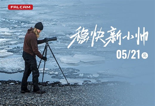 倒计时3天！TreeRoot新品功能抢先看