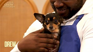 SPONSORED BY AMAZON. Professional pet groomer and CEO of Fur Heroes and Harlem Doggie Day Spa, Brian Taylor joins Drew Barrymore, Ross Mathews, and their furry friends to share some helpful tips. Learn how to give your pet the PURRfect at-home spa day and visit Amazon.com/petday on May 13th and 14th to shop deals on brands your pets will love! #ad | The Drew Barrymore Show